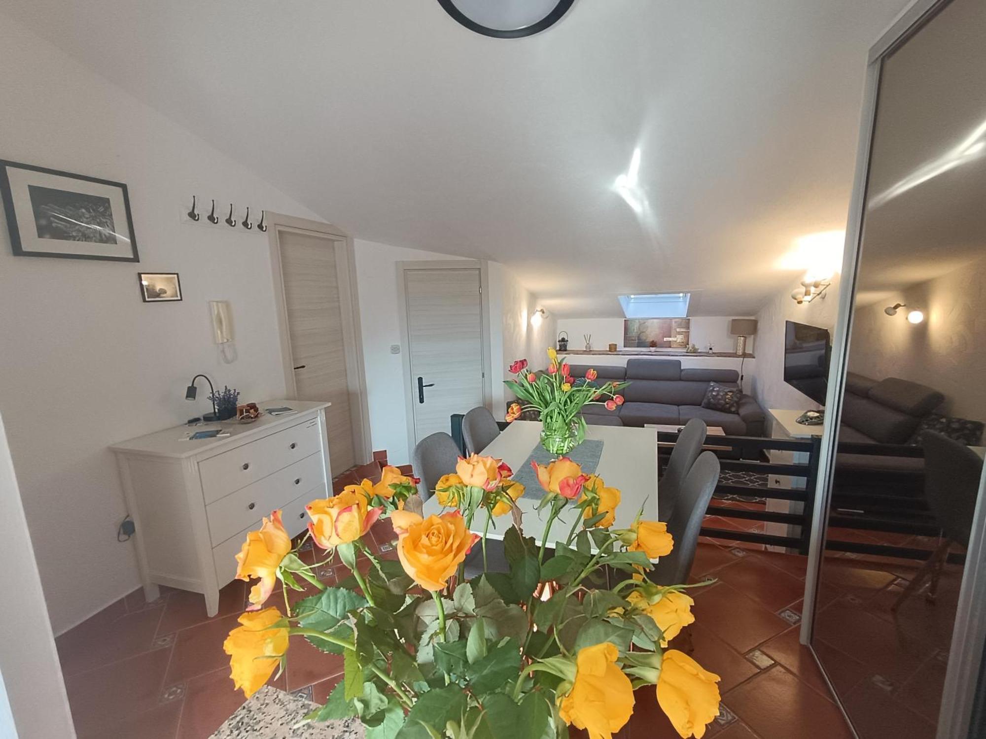 Adria Pearl Appartments Vrsar Dış mekan fotoğraf