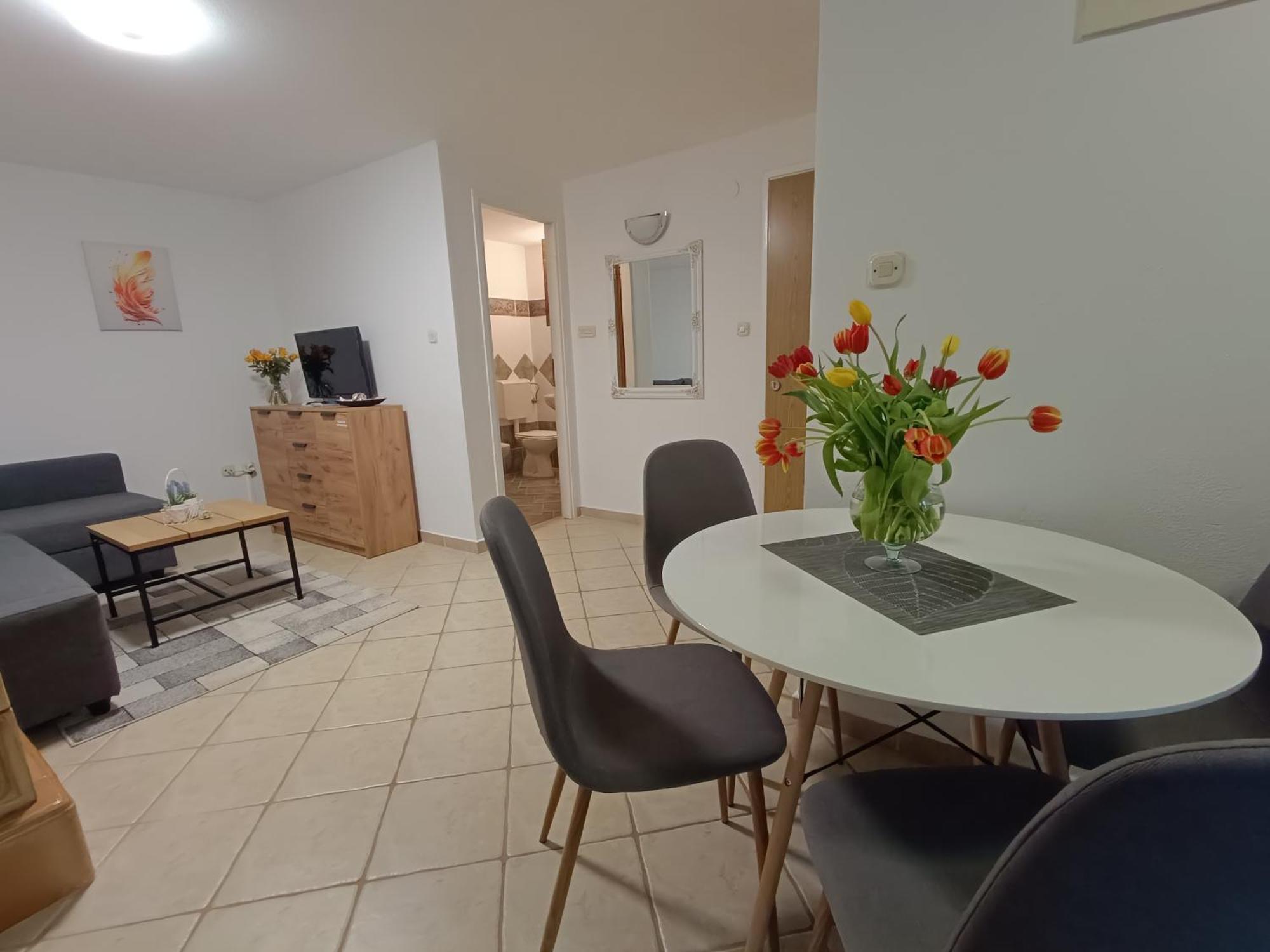 Adria Pearl Appartments Vrsar Dış mekan fotoğraf