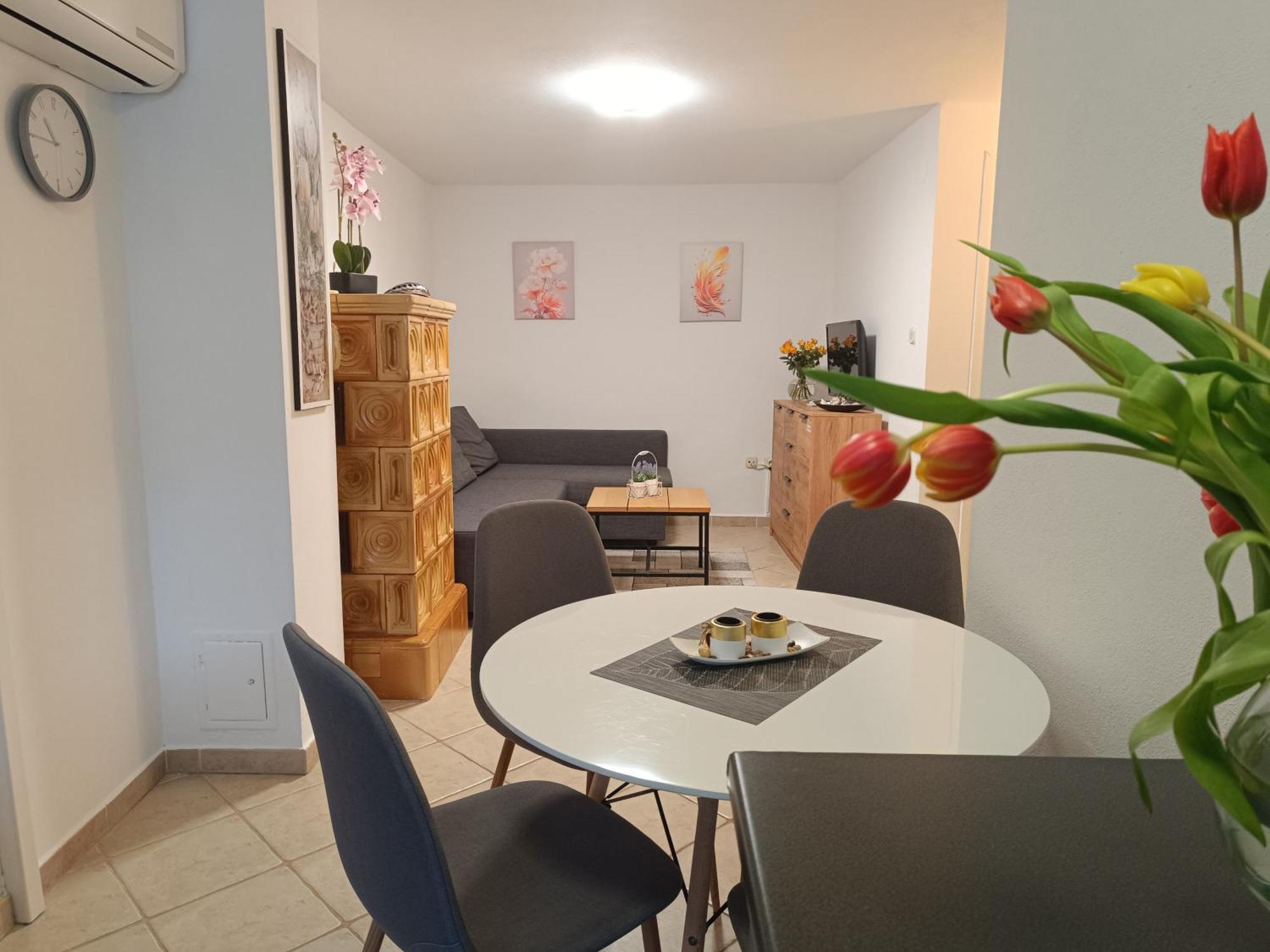 Adria Pearl Appartments Vrsar Dış mekan fotoğraf