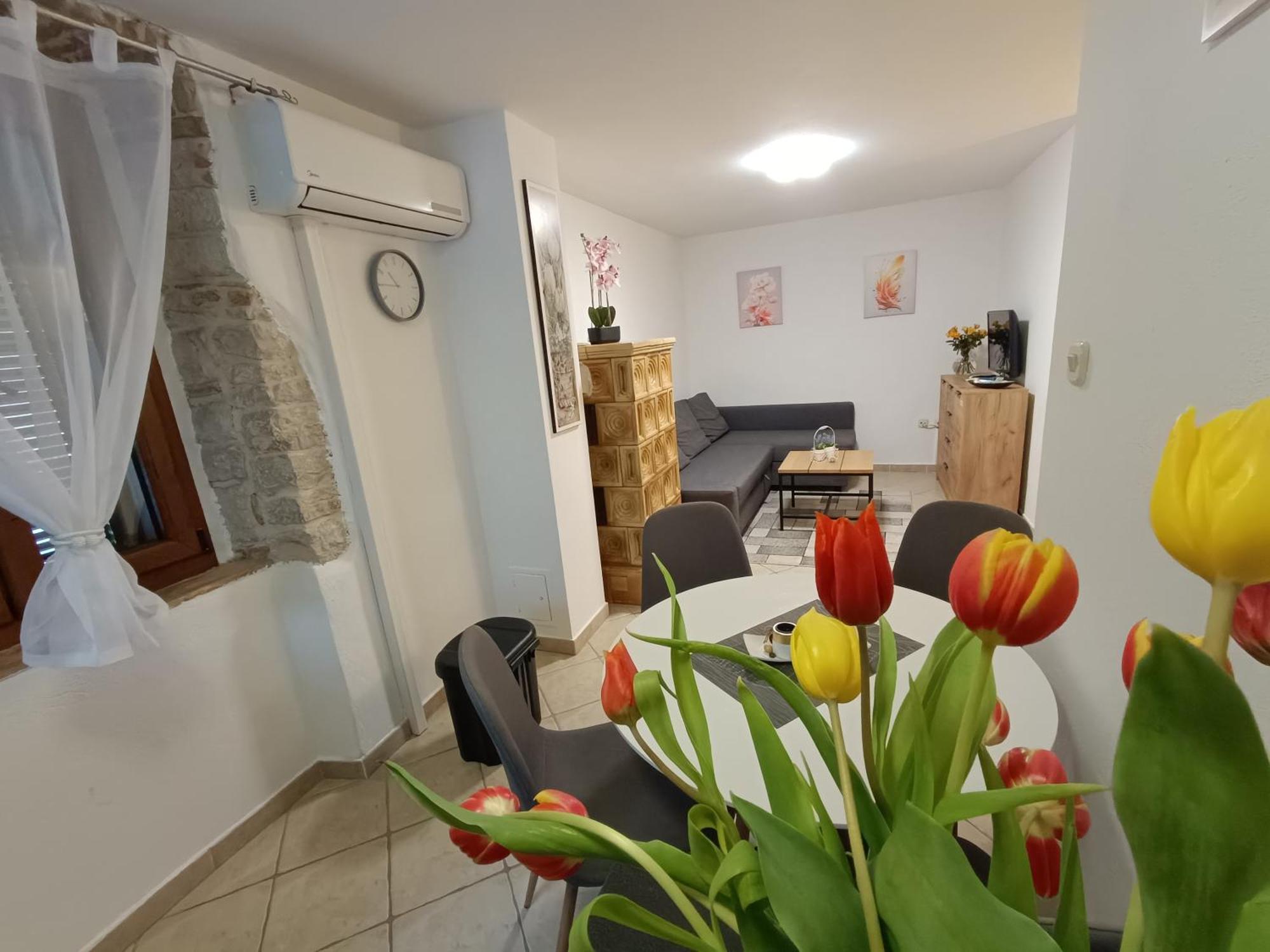 Adria Pearl Appartments Vrsar Dış mekan fotoğraf